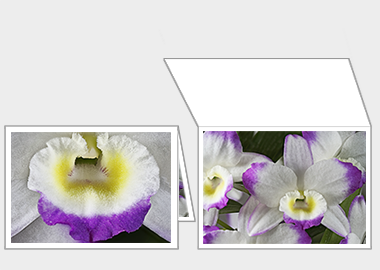 Fine art greeting card - (Noble Dendrobium) – 4.5″x6.25″