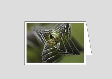 Fine art greeting card - (Pagoda Village HV) – 4.5″x6.25″