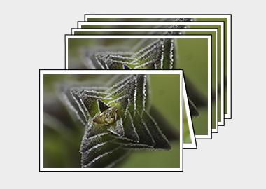 Package of 5 greeting cards - (Pagoda Village) – 4.5″x6.25″