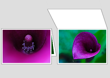 Fine art greeting card - (Purple Sensation) – 4.5″x6.25″