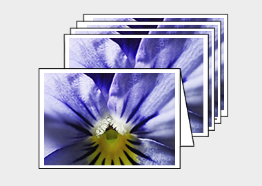 Package of 5 greeting cards - (Purple and Blue Pansy HBV) – 4.5″x6.25″