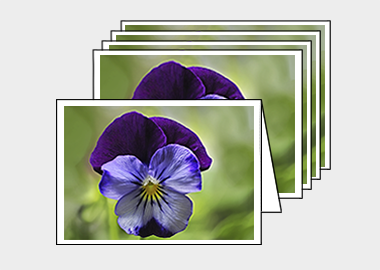 Package of 5 greeting cards - (Purple and Blue Pansy HV) – 4.5″x6.25″