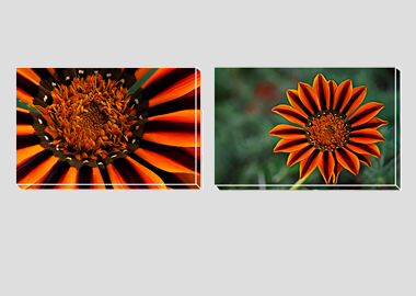 Both canvas prints - (Treasure Flower) - 8"x12" each