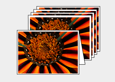 Package of 5 greeting cards - (Treasure Flower HBV) – 4.5″x6.25″