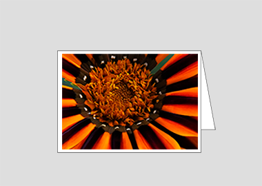 Fine art greeting card - (Treasure Flower HBV) – 4.5″x6.25″