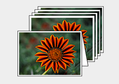 Package of 5 greeting cards - (Treasure Flower HV) – 4.5″x6.25″