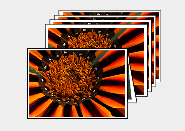 Package of 5 greeting cards - (Treasure Flower) – 4.5″x6.25″