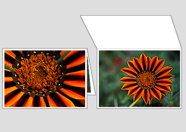 Fine art greeting card - (Treasure Flower) – 4.5″x6.25″