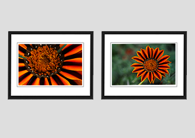 Both framed prints - () - 8"x10" each