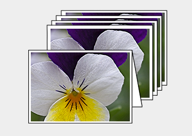 Package of 5 greeting cards - (Crown of Thorns HV) – 4.5″x6.25″